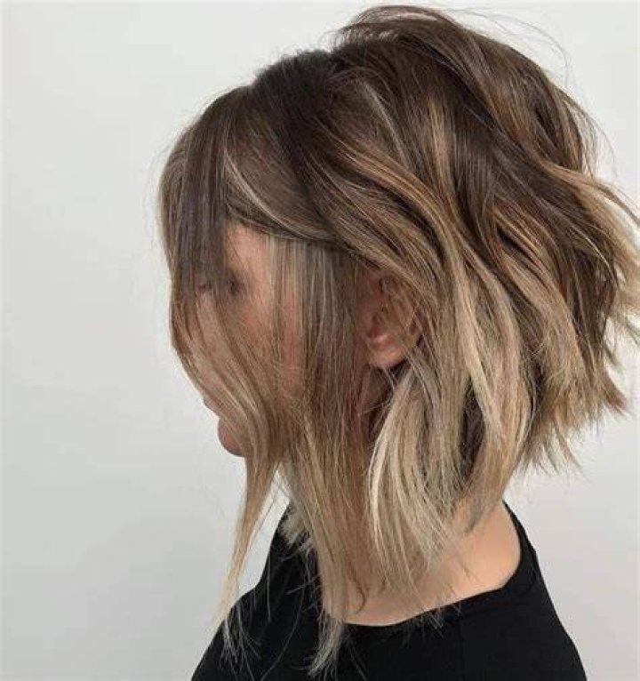 10+ Long Front Short Back Haircut The FSHN
