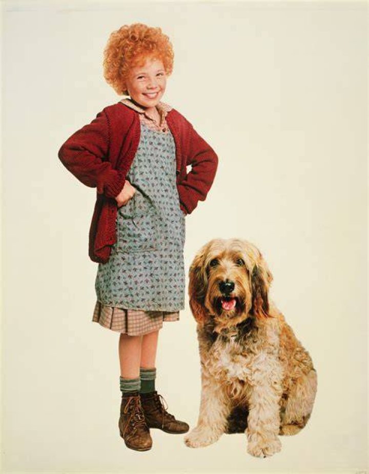 #11 Annie (1982) - Best Orphan Movies