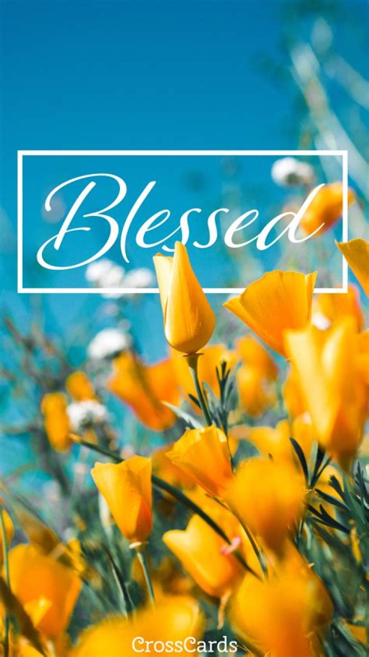 🔥 [46+] Free Blessed Wallpapers WallpaperSafari