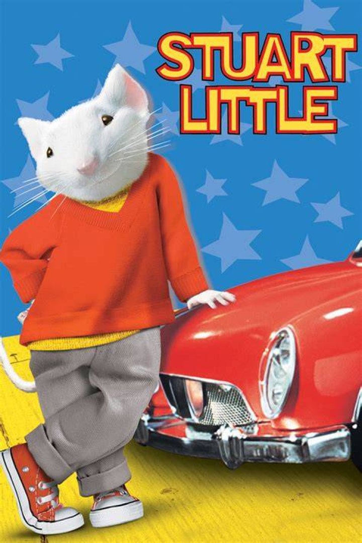 #14 Stuart Little (2004) - Best Orphan Movies