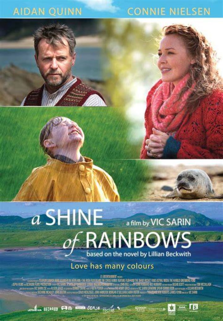 #15 A Shine of Rainbows (2009) - Best Orphan Movies
