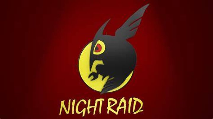 25 Popular Anime Symbols With The Most Influence (Ranked) 11 #15 Night Raid Logo - Popular Anime Symbols With The Most Influence