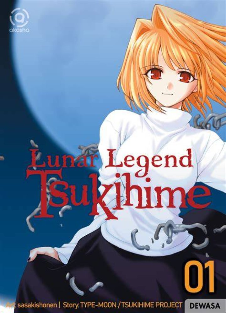 20 Best Vampire Romance Anime You Shouldn't Miss 2 #19 Lunar Legend Tsukihime