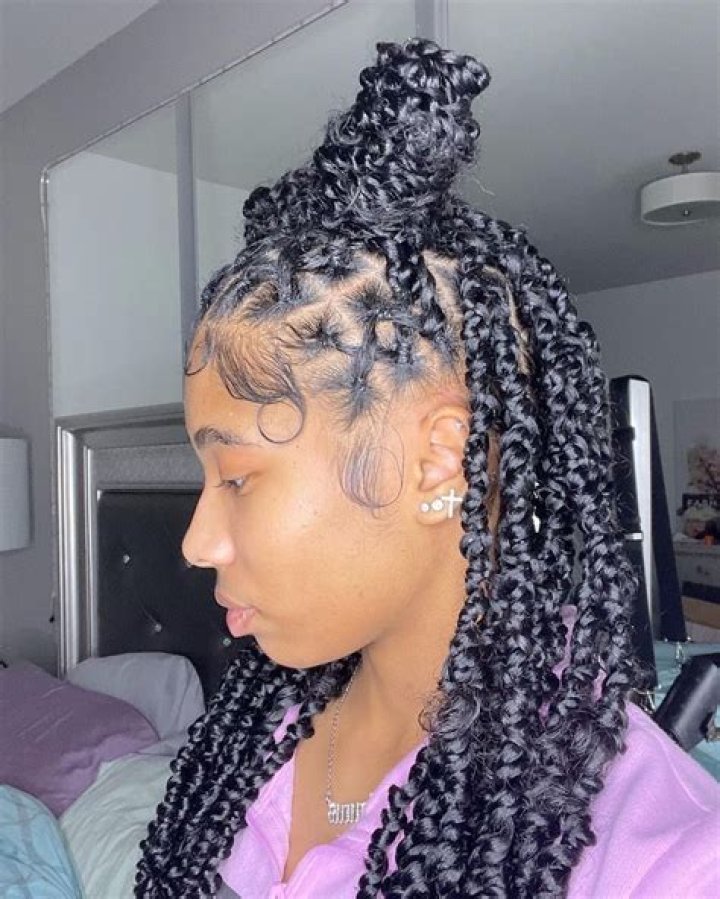 39+ knotless braids with passion twist hair MarisBelieve
