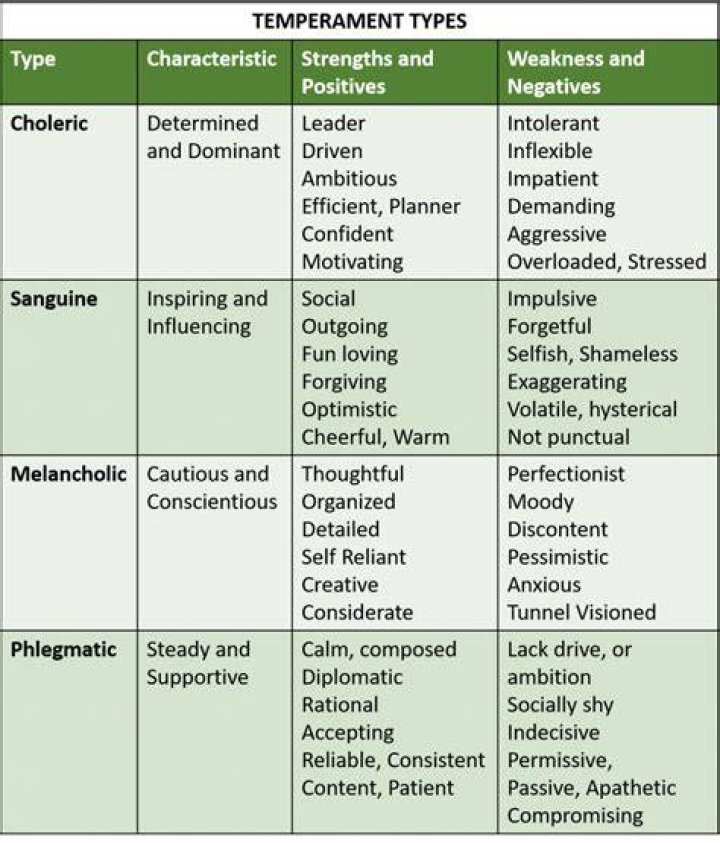 4 Types Of Temperament Which One Do You Possess?