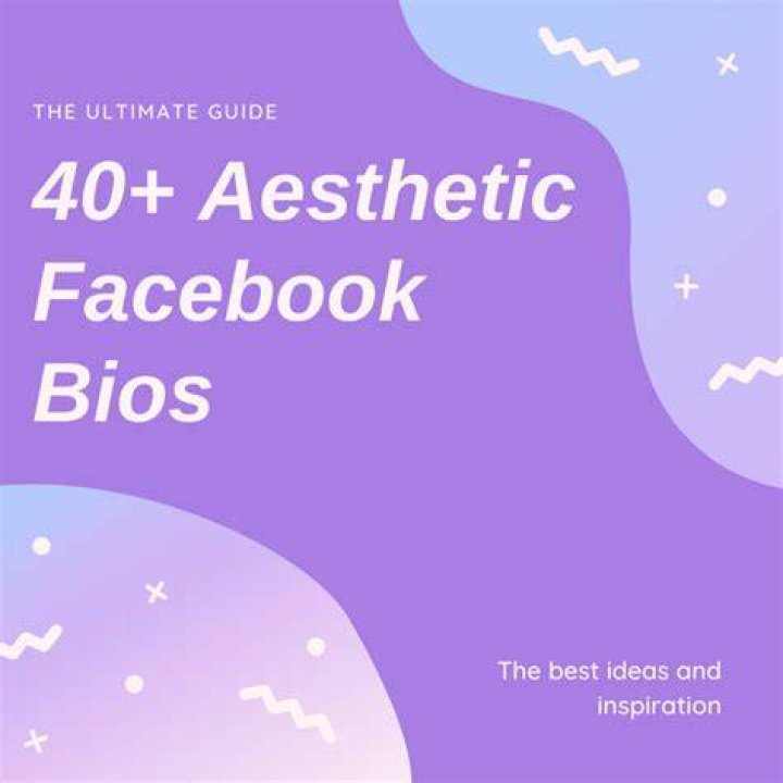 40+ Aesthetic Facebook Bios and Ideas The Ultimate List TurboFuture