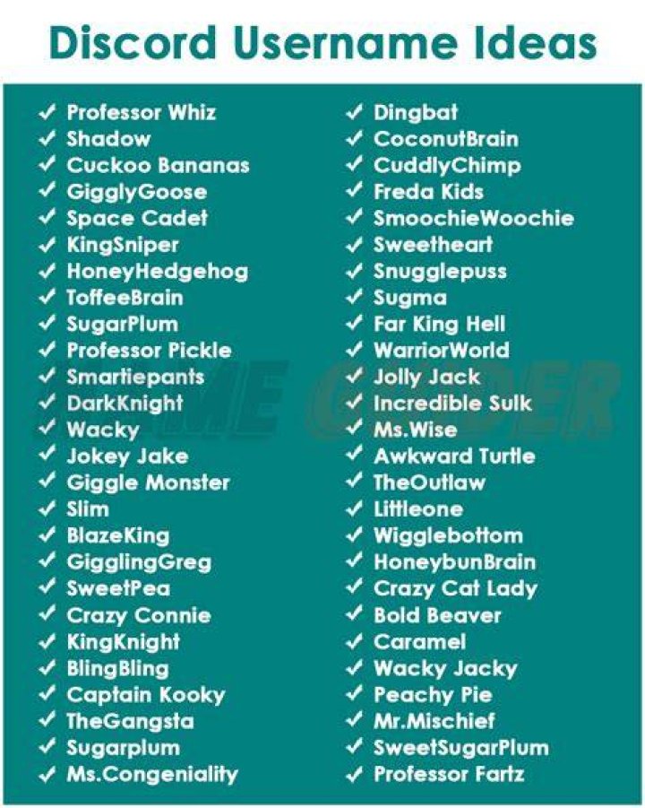 599+ Discord Username Ideas Funny, Cool, And Clever Good Name