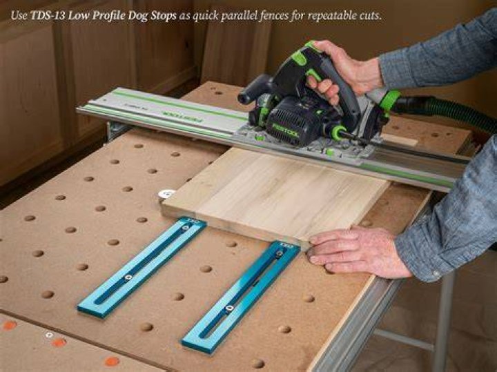 (7) TSO Dog Stops Festool, In ear headphones, 3d printing