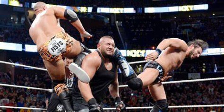 AOP vs Revival vs DIY NXT