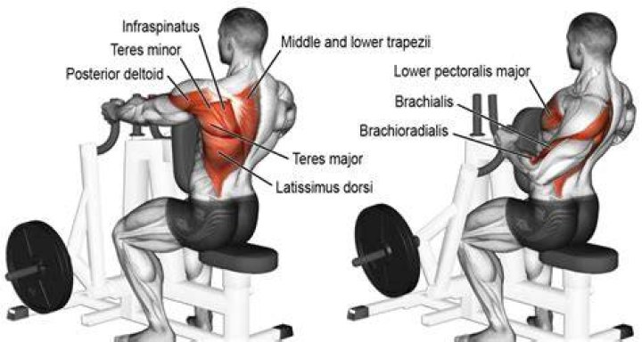 Back Machine Exercises