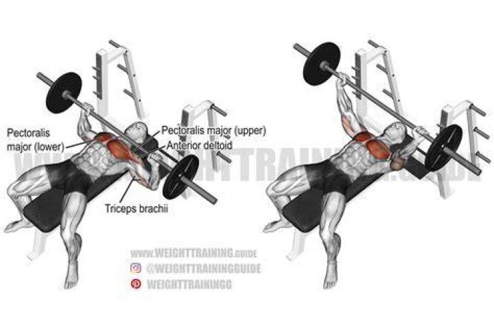 barbell bench press