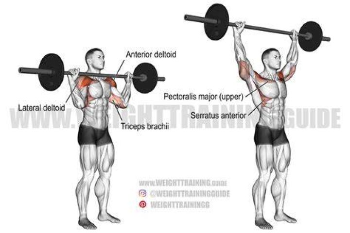 barbell, overhead press, shoulder, strength training, exercise equipment, physical fitness, free weight bar, weightlifting, weight training, weightlifter,