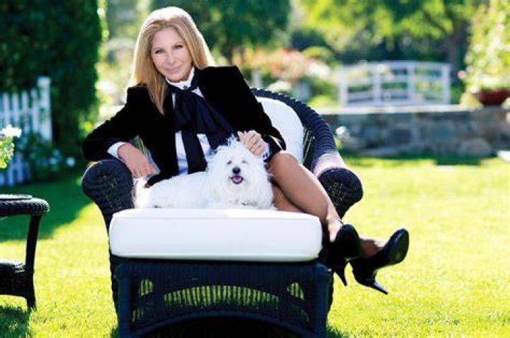 Barbra Streisand poses with her husband | Image: Pinterest