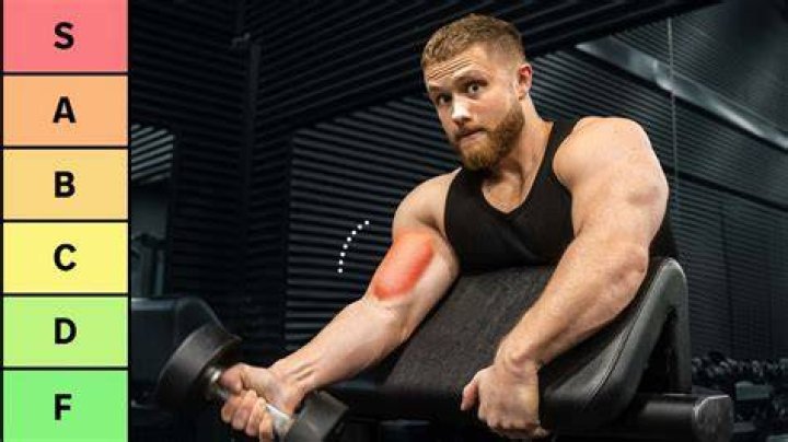 best bicep exercises