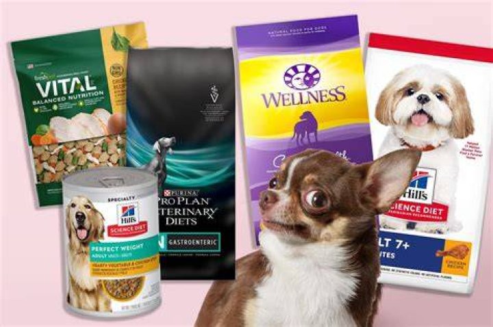 Top 10 Quality & Best Dog Food Brands in South Africa 3 Best Dog Food Brands In South Africa