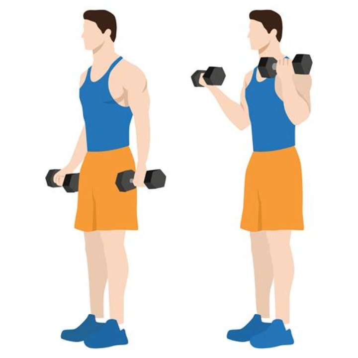 bicep curls