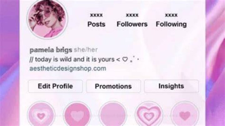 Bios Aesthetic para usar no Instagram Copie as Melhores Ideias