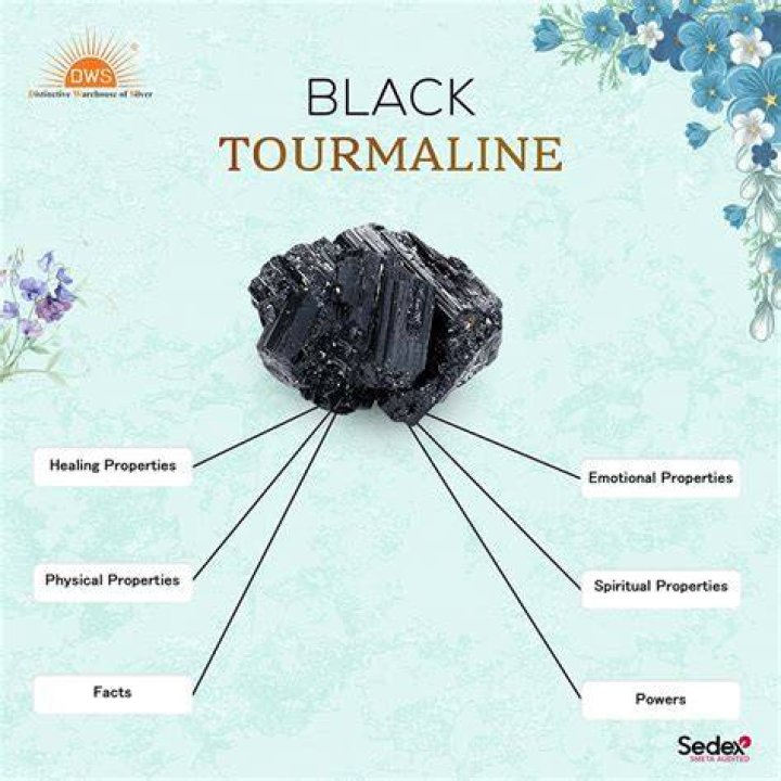 Black tourmaline Crystals for protection