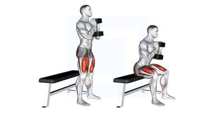 box squat goblet box squat goblet