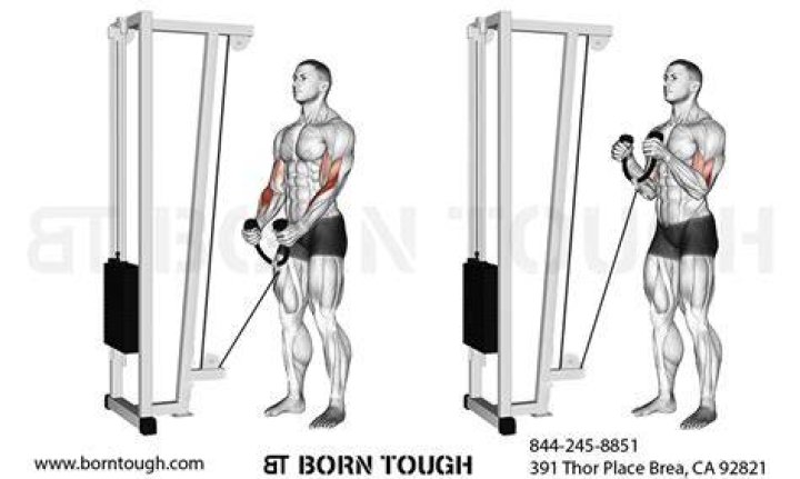 cable rope hammer curl