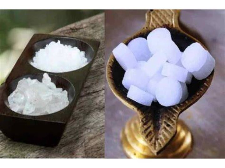 camphor