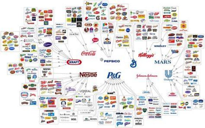 Companies Are In The Consumer Durables Field