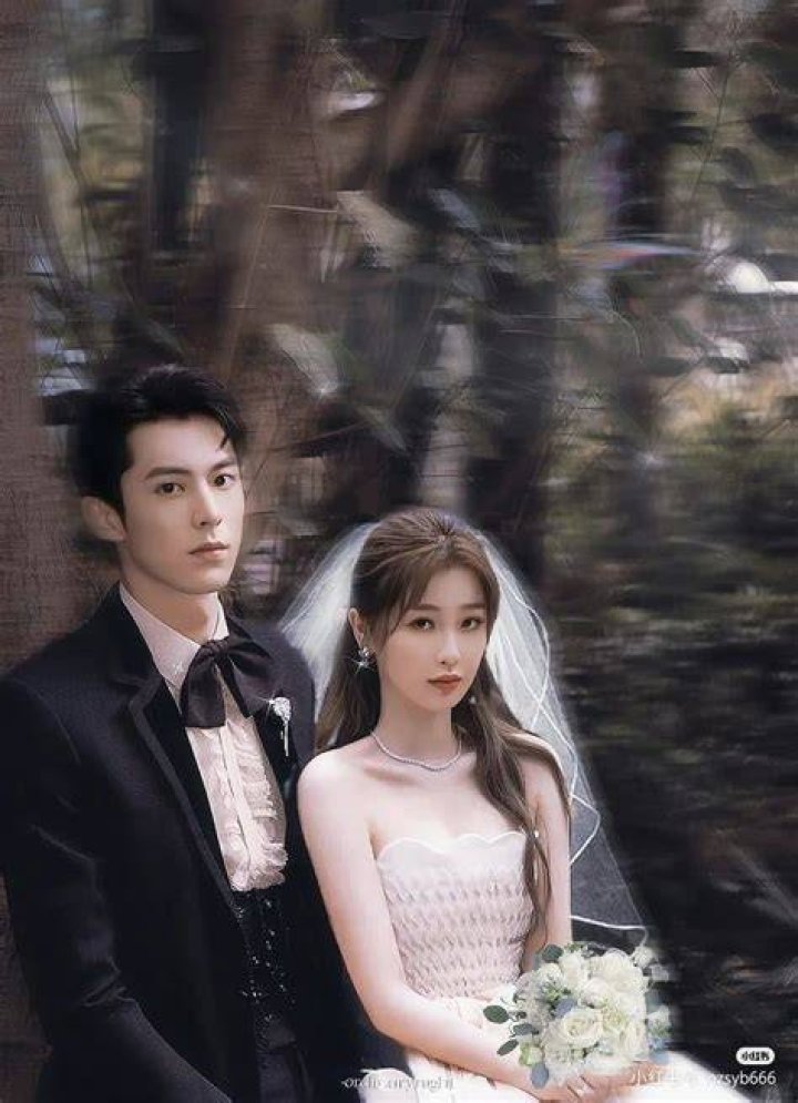 Couple Wedding Dylan Wang And Shen Yue picspatula