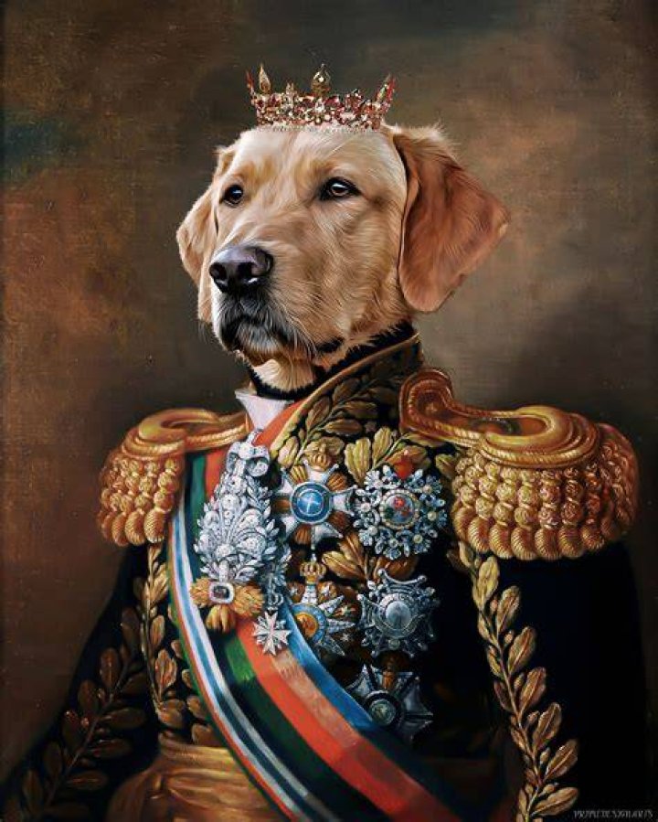 Custom Dog Portrait