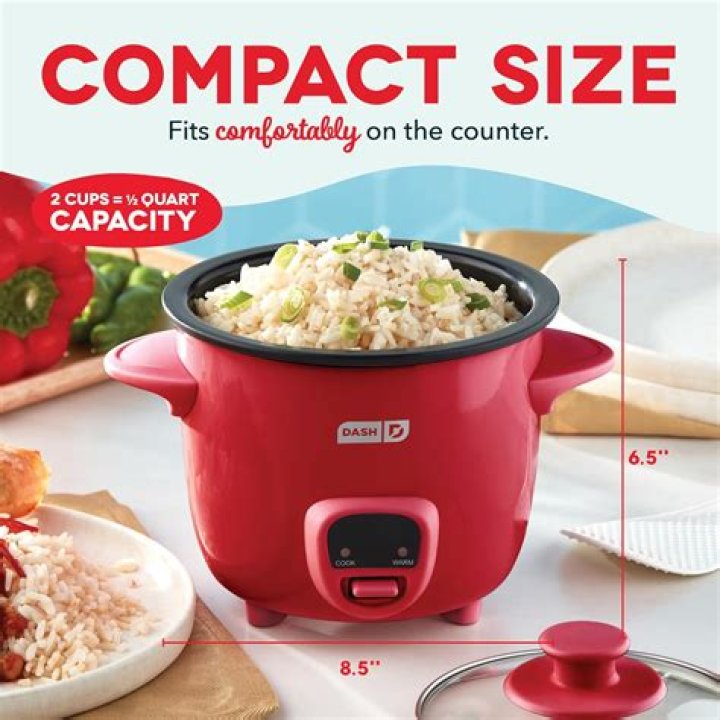 Dash Mini Rice Cooker Steamer