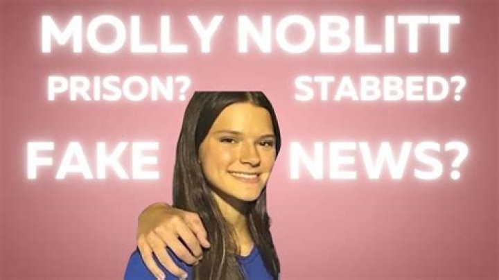 Did Molly Noblitt Get Stabbed? Understanding The Incident And Its