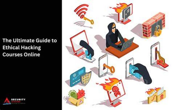 Discovering Hackingbot.in: Your Ultimate Guide To Online Security And Ethical Hacking