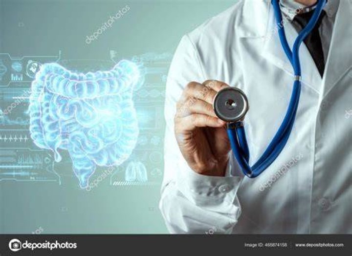 Doctor and holographic bowel scan projection with vital signs and medical records. Concept of new technologies, body scan, digital x-ray, abdominal organs, modern medicine. doctor and holographic bowel scan projection with vital signs and medical records concept of new technologies, body scan, digital x ray, abdominal organs, modern medicine