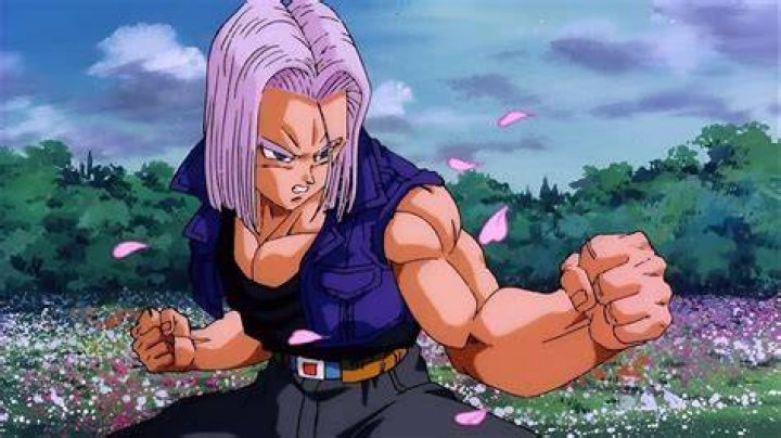 Dragon ball z future trunks android 17 android 18