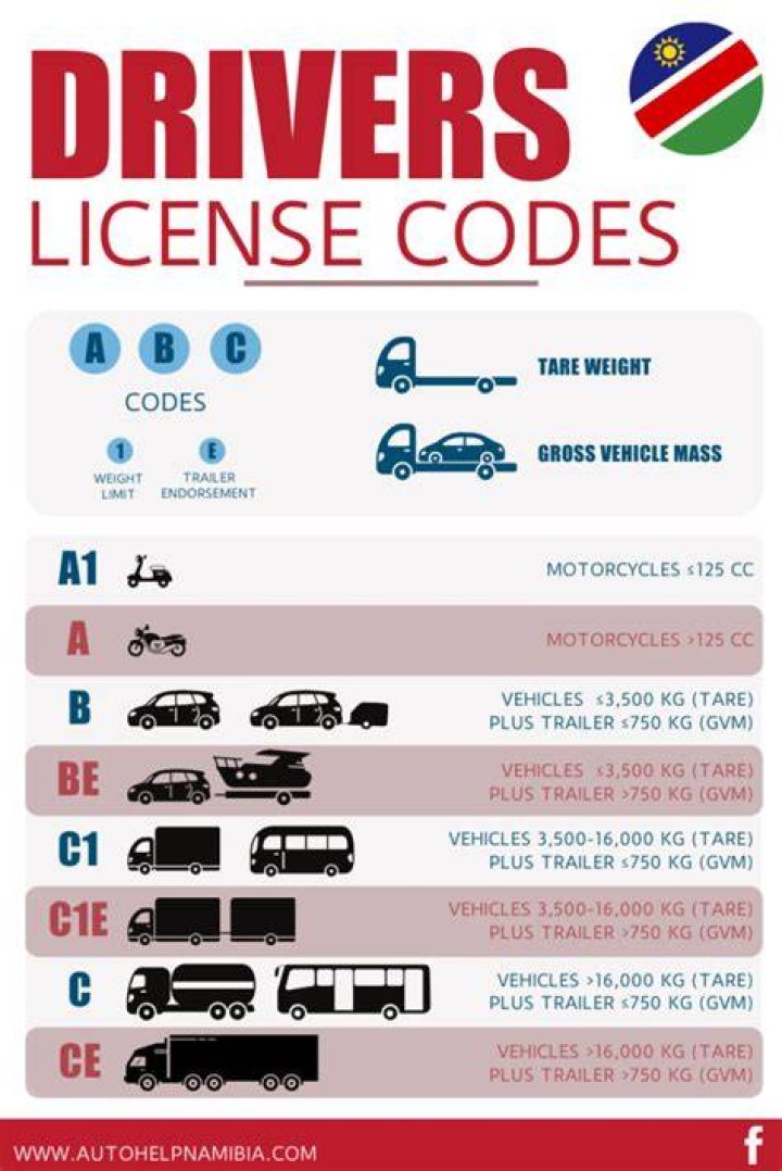 Driver license codes explained Driver license codes explained
