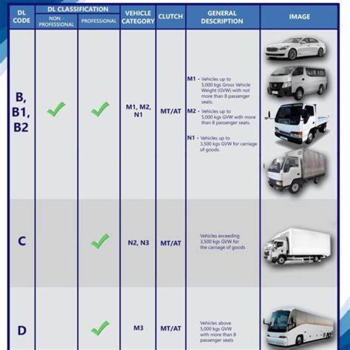 Driver license codes Driver license codes