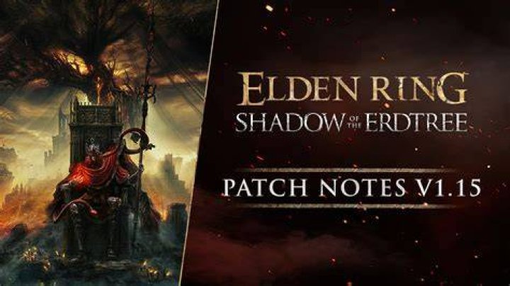 elden ring patch incoming performance issues save data
