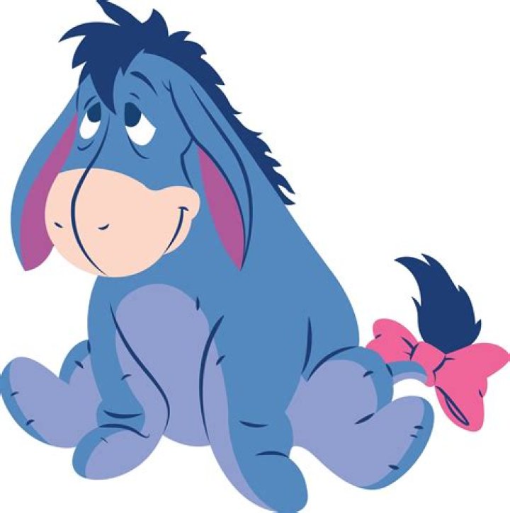 Embracing the Eeyore in Your Life The Kim Foundation