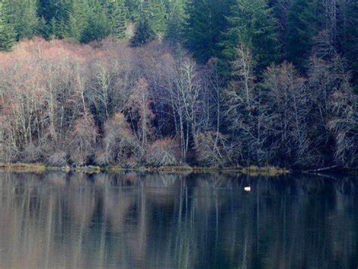 Exploring The Hult Log Storage Pond Dam: A Comprehensive Overview