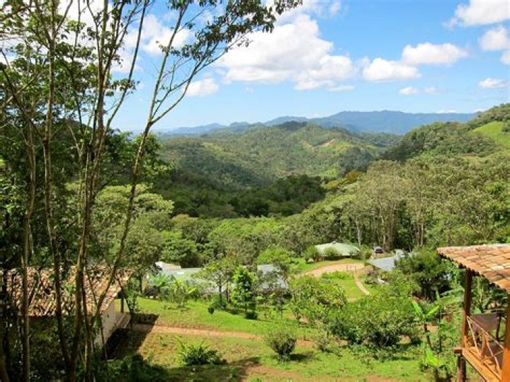 Finca Esperanza Verde