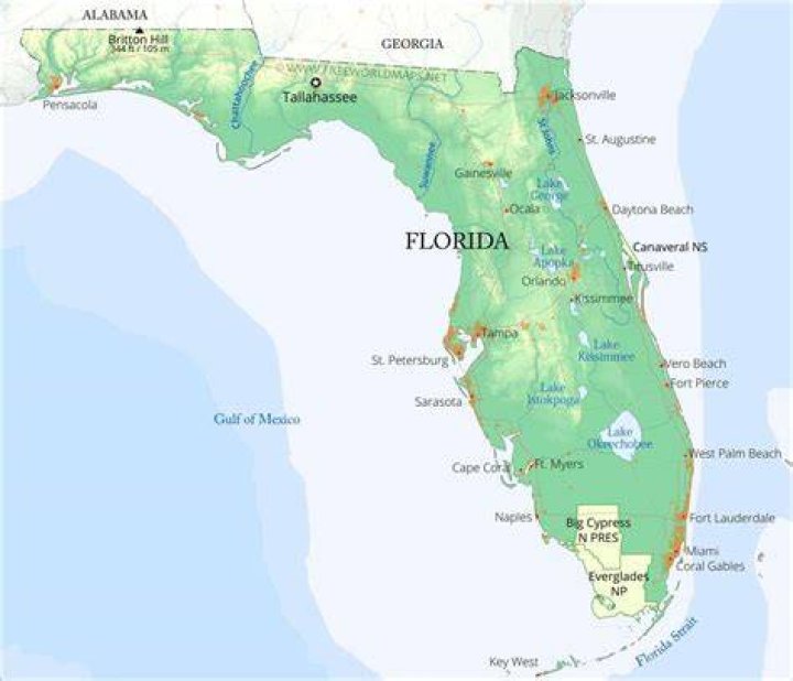 Florida's Infamous Sausage Castle Has Burned Down VICE