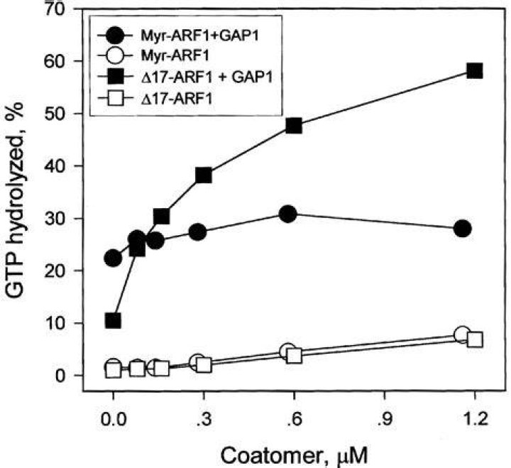 Gaps - Goldberg
