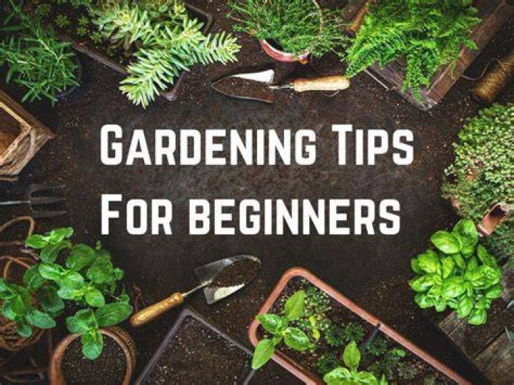 Gardening