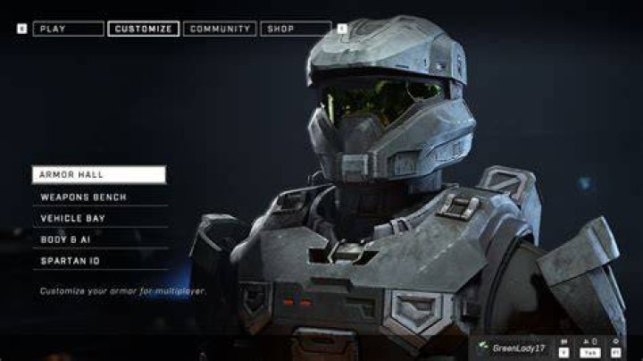 halo infinite armor customization screen
