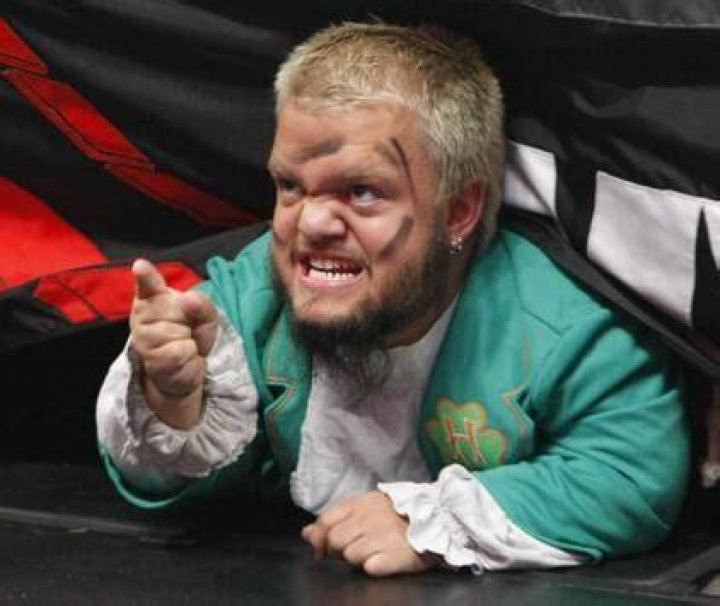 Hornswoggle Under The Ring 