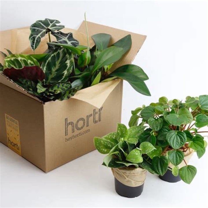 Horti subscription