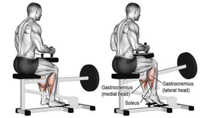 How to Do the Seated Calf Raise