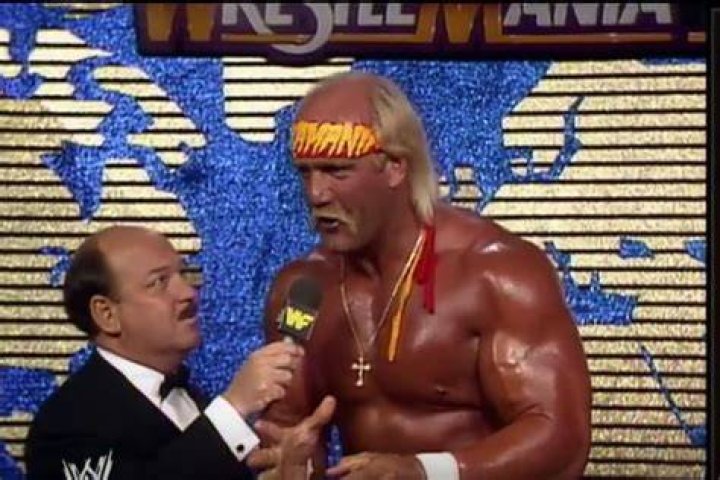 Hulk Hogan And Mean Gene AWA 