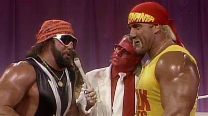 Hulk Hogan, Randy Savage, Lex Luger & Sting v The Dungeon of Doom Fall Brawl 1995 Cropped