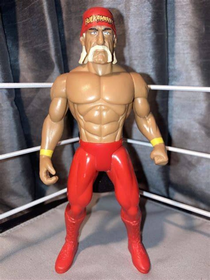 Hulk Hogan TNA Genesis 