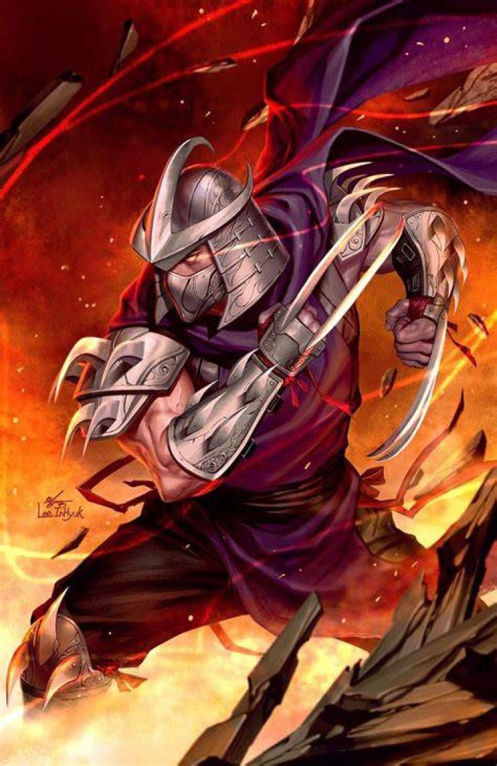 Key art for TMNT: Shredder's Revenge &ndash; Dimension Shellshock. The four Turtles and the two new characters, Karai and Miyamoto Usagi, are emerging from a dimensional portal, surrounded by monsters, pizza, and gems. Karai looks like a soldier from the Foot Clan without a mask, wearing black and purple clothes with a bright red headband. Usagi is an anthropomorphic rabbit samurai.